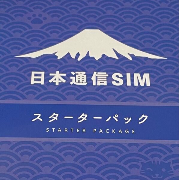 日本通信SIMスターターパック2枚セット 申込期限2025年8月末