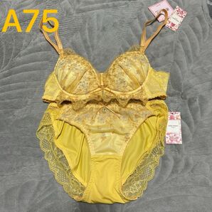 【新品未使用】チュチュアンナ ブラ ショーツセットアップ 運命のブラ A75