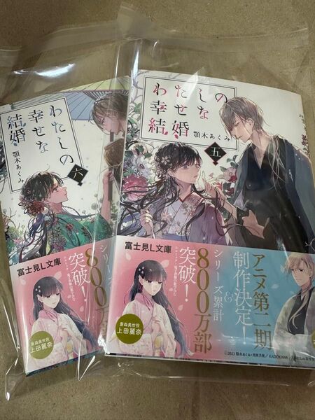 わたしの幸せな結婚 小説 5、6巻