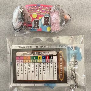 天皇賞 想い出馬券ホルダー アイドルホースミニコレクション