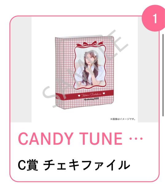 CANDY TUNE C賞 チェキファイル 立花琴未