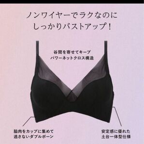 ノンワイヤーブラショーツセット MINIMALISTA ブラックF75 Vバックメッシュショーツ ブラックLL