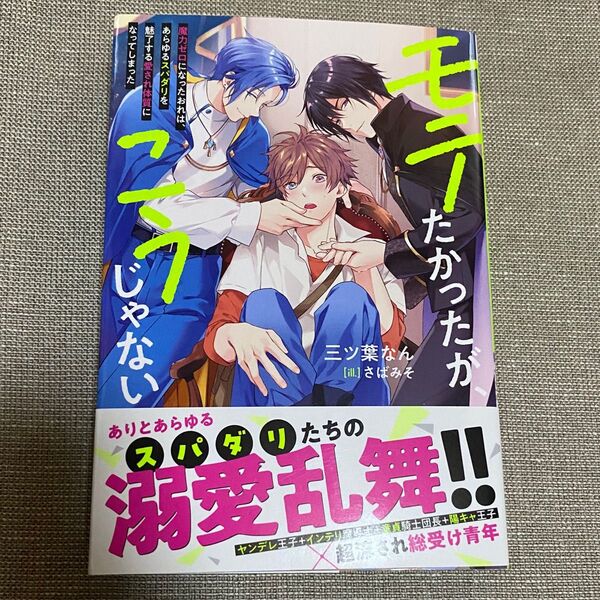 BL 小説★ モテたかったが、こうじゃない : 魔力ゼロになったおれは、あらゆるスパダリを魅了する愛され体質になってしまった