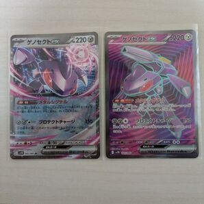 ゲノセクト SR RR