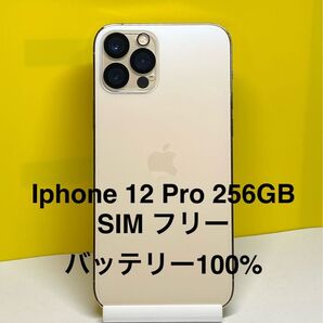 Iphone 12 Pro ゴールド 256GB SIM フリー バッテリー 100%