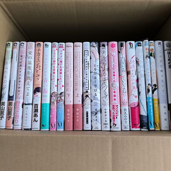 BLコミック 21冊 まとめ売り 美山薫子◯百瀬あん◯末広マチ他