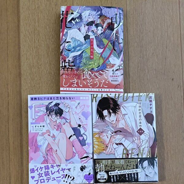 BLコミック 明けの花に嘴/もちゃろ 他3冊セット
