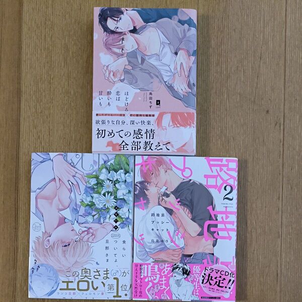 BLコミック 食らいついてよ、旦那さま/ユキハル 他3冊セット