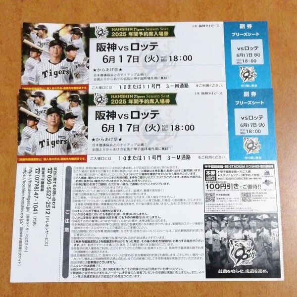 6月17日(火) 阪神甲子園球場 阪神 vs ロッテ ブリーズシート指定席 2枚 連番