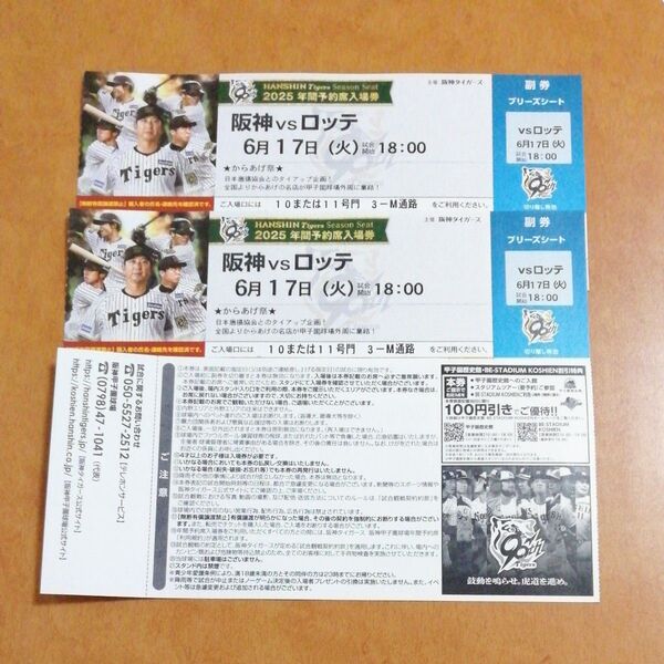 6月17日(火) 阪神甲子園球場 阪神 vs ロッテ ブリーズシート指定席 2枚 連番
