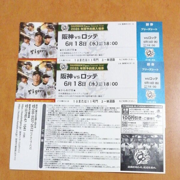 6月18日(水) 阪神甲子園球場 阪神 vs ロッテ ブリーズシート指定席 2枚 連番