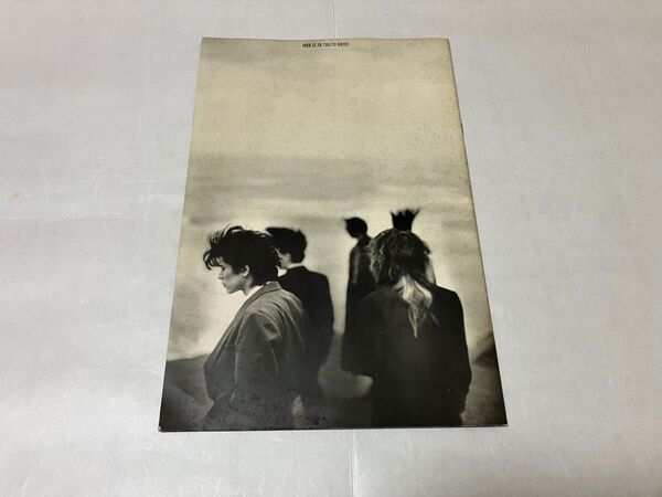 BUCK-TICK 写真集 1989.12.29 TOKYO DOME 古本 パンフレット