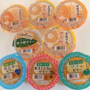 えひめ中央農業協同組合 国産果肉入りフルーツゼリー8点セット 紅まどんな 甘平