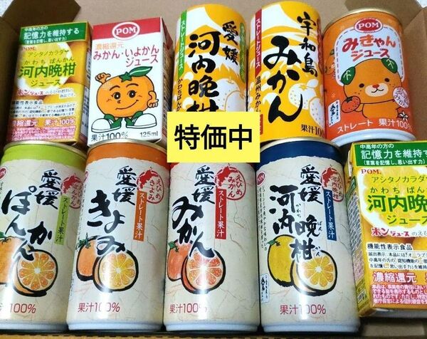 愛媛県産柑橘 無添加みかんジュース10本セット 100%