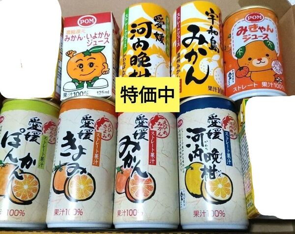 愛媛県産柑橘 無添加みかんジュース8本セット 100%