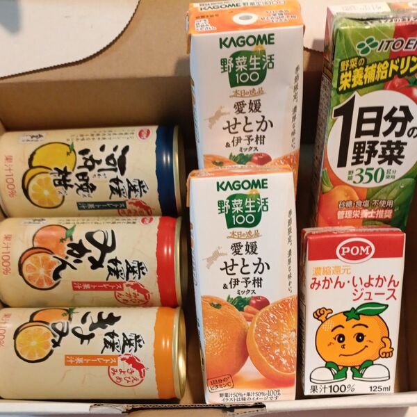 愛媛県産柑橘 無添加みかんジュース4本 100%&野菜生活 せとか&伊予柑mix。一日分の野菜 セット