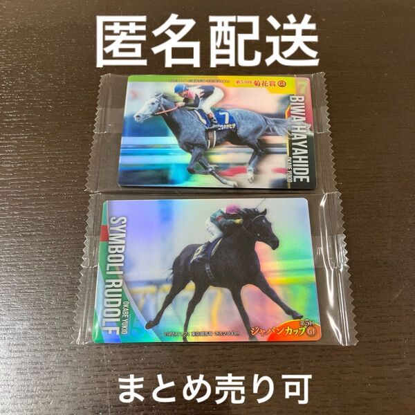 ビワハヤヒデ、シンボリルドルフ2枚セット サラブレッドホースコレクション 第2R ツインウエハース