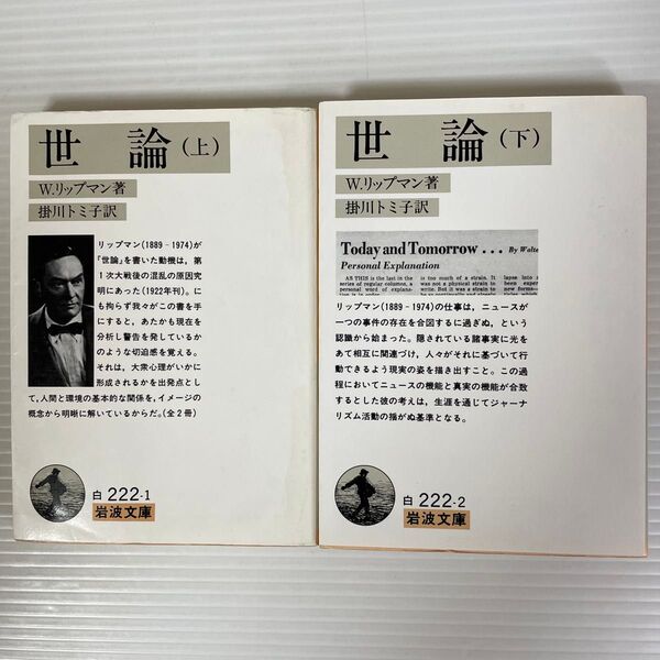 岩波文庫 世論 上・下巻セット
