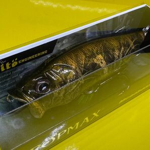 メガバス Megabass ポップマックス POPMAX 限定 (SP-C) ジャングルツリーCB