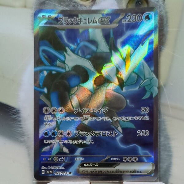 ポケモンカード ブラックキュレムex SR