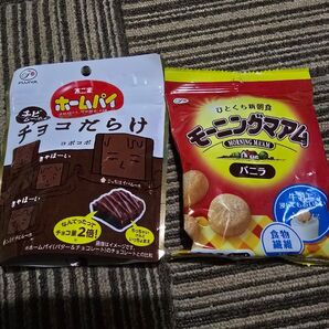 不二家 ホームパイ チョコだらけ モーニングマアム バニラ 計2個セット