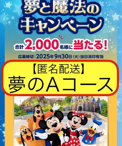 ディズニー懸賞応募 東京ディズニーリゾート×明治ブルガリアヨーグルト 応募券応募マーク 応募はがき(ちぎり跡無し)応募用紙