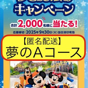 ディズニー懸賞応募 東京ディズニーリゾート×明治ブルガリアヨーグルト 応募券応募マーク 応募はがき(ちぎり跡無し)応募用紙