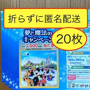 ディズニー懸賞応募 明治ブルガリアヨーグルト 夢と魔法のキャンペーン 応募はがき(ちぎり跡無し)応募用紙