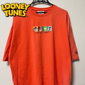 LOONEY TUNES Embroiledery s/s Tshirt