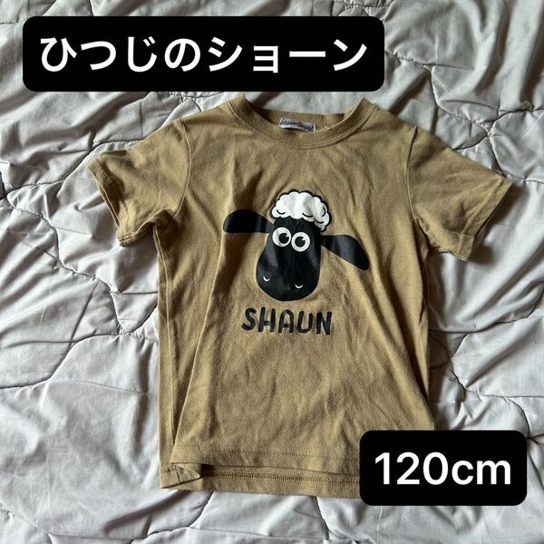 ひつじのショーン 半袖 夏 半袖Tシャツ 120cm 男女兼用 保育園服 細かい毛玉あり ベージュ 記名あり
