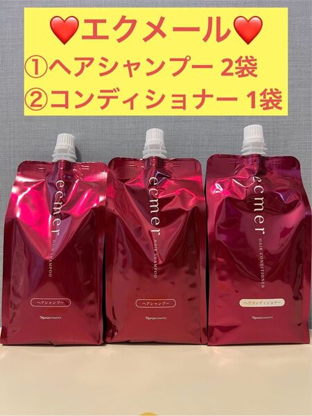 ナリス化粧品 ナリス エクメール ヘアシャンプー2袋&コンディショナー1袋