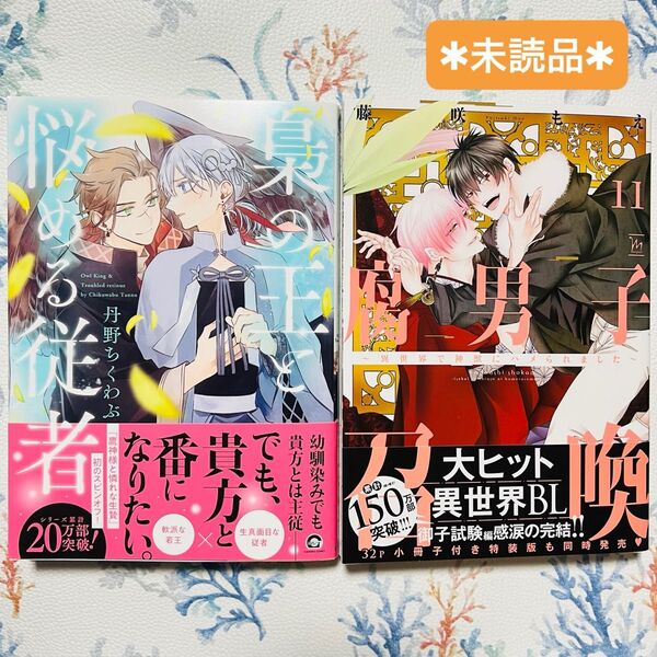 梟の王と悩める従者 * 腐男子召喚~異世界で神獣にハメられました~ 11 通常版