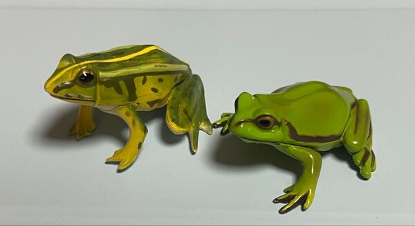 海洋堂 トノサマガエル アマガエル チョコエッグ カエル フィギュア