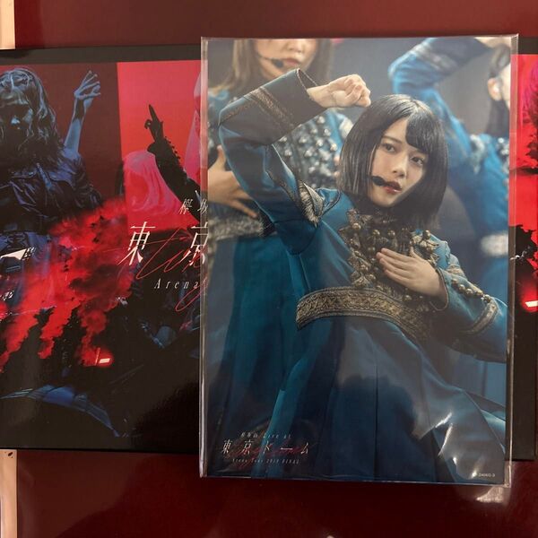 初回生産限定盤 欅坂46 Blu-ray/欅坂46 LIVE at 東京ドーム 〜ARENA TOUR 2019 FINAL〜