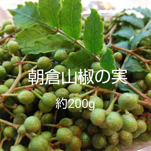 朝倉山椒の実 約200g