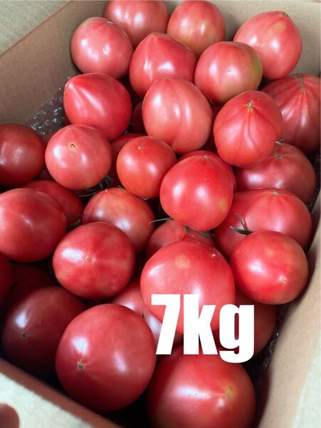 味の濃いトマト 7kg 訳あり 規格外品 静岡県産 農家直送 減農薬栽培