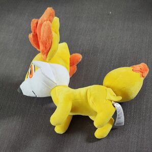 ポケモン ぬいぐるみ フォッコ