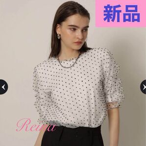 【新品】2024SS CADUNE カデュネ シアーブラウス Tシャツ ブラウス チュニック