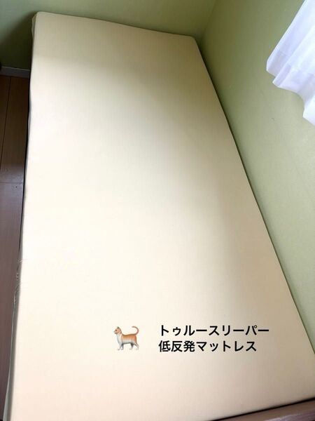 訳あり トゥルースリーパー 低反発マットレス プレミアケア シングルサイズ 猫