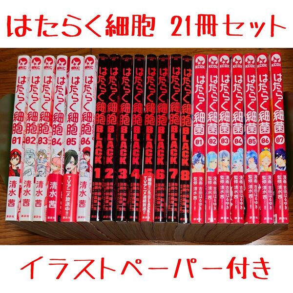 【21冊 全巻セット 購入特典付き】はたらく細胞 全6巻+BLACK 全8巻+細菌 全7巻 清水茜 イラストペーパー 非売品