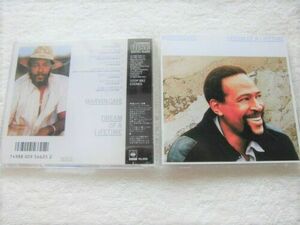 初期国内盤 CBS/Sony 32DP 882 3200円 / 1987 / Marvin Gaye / Dream Of A Lifetime / Producer Gordon Banks, Harvey Fuqua 