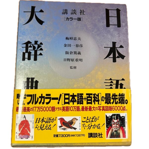 講談社カラー版 日本語大辞典 日本語 百科 フルカラー ことば 辞典