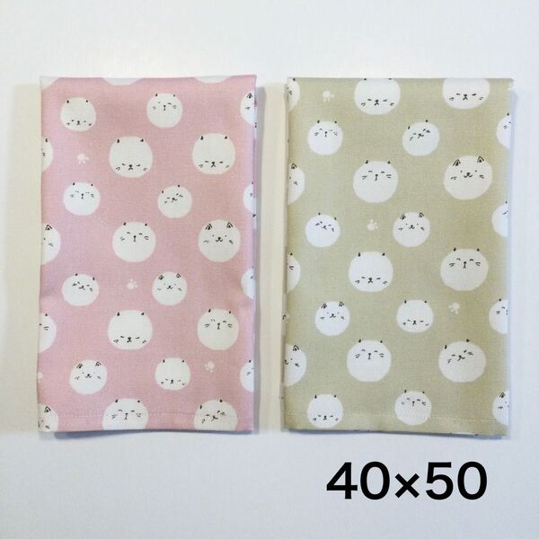 ランチョンマット 40×50 小学校 2枚セット