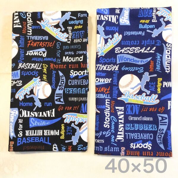 ランチョンマット 40×50 小学校 2枚セット
