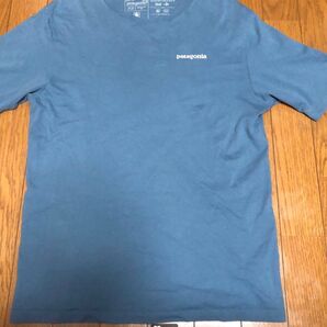 パタゴニア tシャツ xs