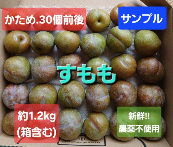 鹿児島県産 すもも(いぐり) 農薬不使用 約1.2kg(箱含む)30個前後プラム