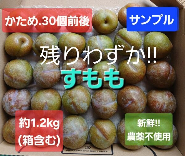 鹿児島県産 すもも(いぐり) 出品終了間近!! 農薬不使用 約1.2kg(箱含む)30個前後プラム