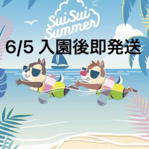 ディズニーランド 6/5 オンライングッズ購入用チケット