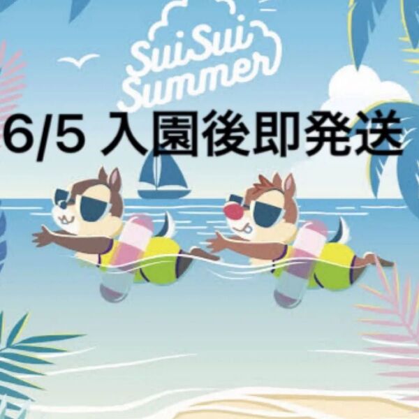 ディズニーランド 6/5 オンライングッズ購入用チケット