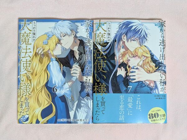 家から逃げ出したい私が、うっかり憧れの大魔法使い様を買ってしまったら 6〜7巻